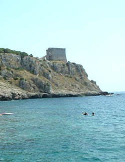 Totte della dannata